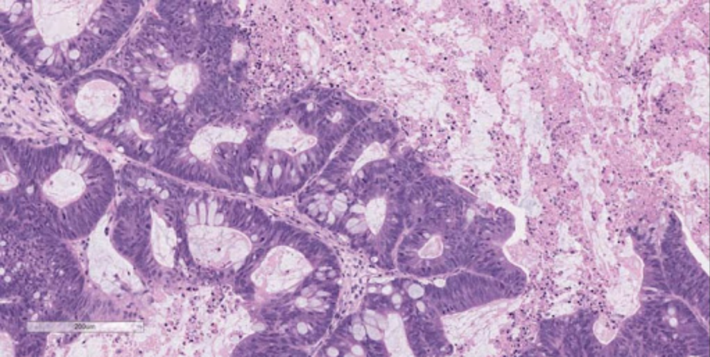 Screen Shot 2021 12 08 at 4.14.51 PM Titan Radio