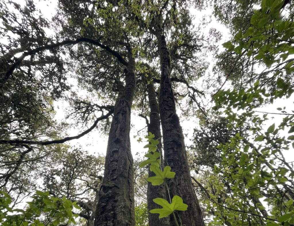 IMG 7559 scaled e1663811140209 Titan Radio