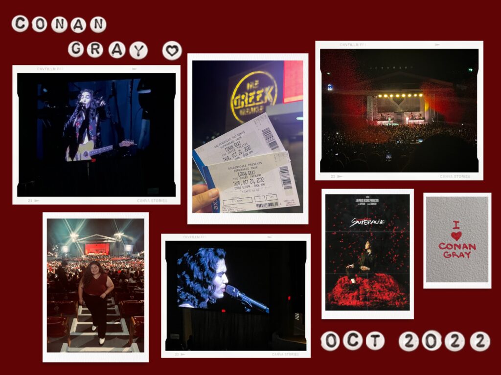 Conan Gray Concert Collage 1 Titan Radio